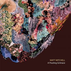 A Pouting Grimace - Matt Mitchell (CD)
