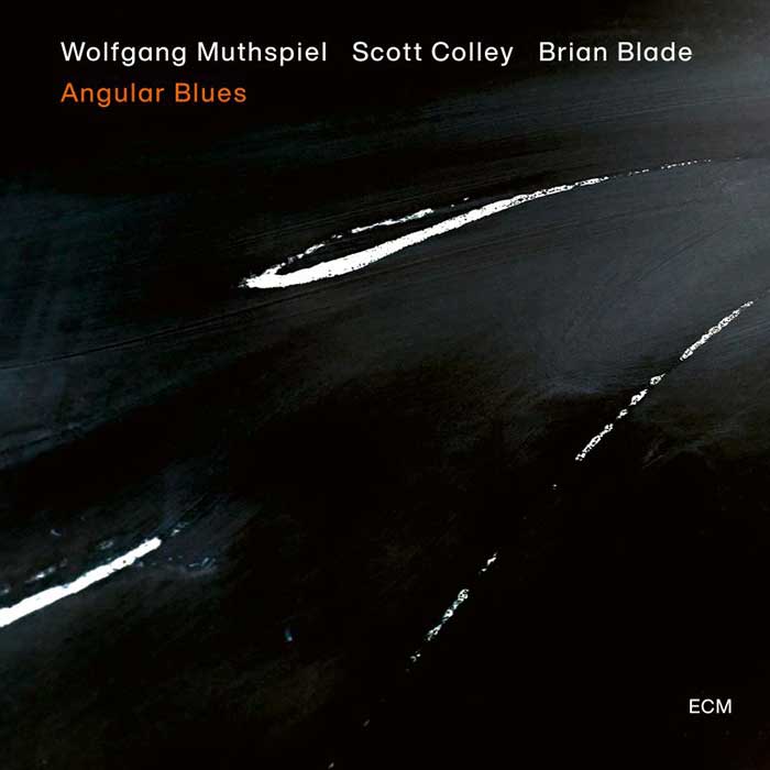 Angular Blues – Wolfgang Muthspiel | Scott Colley | Brian Blade