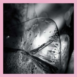 Clara - Loscil