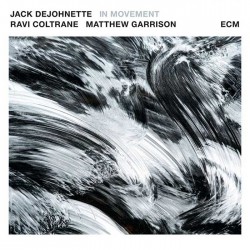 In Movement - Jack DeJohnette / Ravi Coltrane / Matthew Garrison