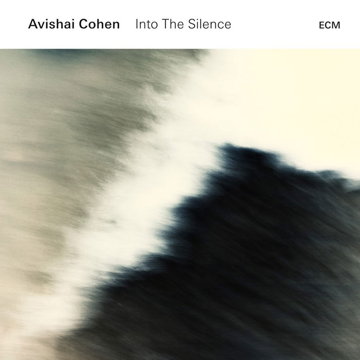 Into The Silence - Avishai Cohen