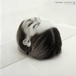 Trouble Will Find Me - The National