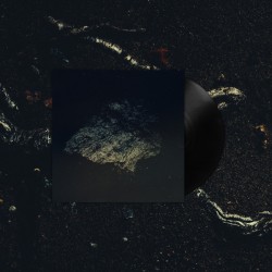 Lost World - Multicast Dynamics