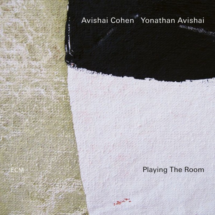 Playing the Room – Avishai Cohen & Yonathan Avishai