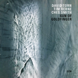 Sun of Goldfinger – David Torn, Tim Berne, Ches Smith