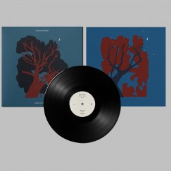 Gift from the Trees – Mammal Hands