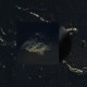 Lost World - Multicast Dynamics Lost World - Multicast Dynamics