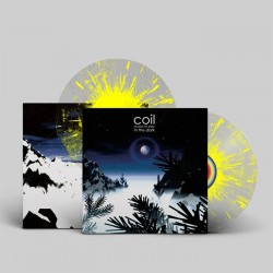 Musick to Play in the Dark - Coil
